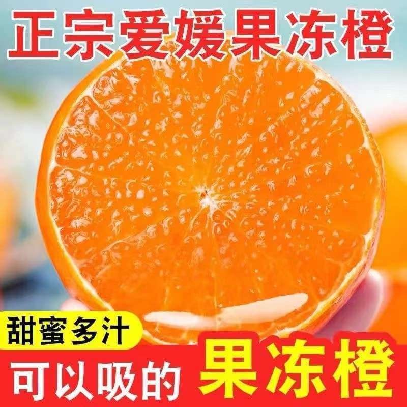 正宗爱媛果冻橙新鲜水果甜蜜多汁可以吸的果冻橙子 媛果实拍商品图