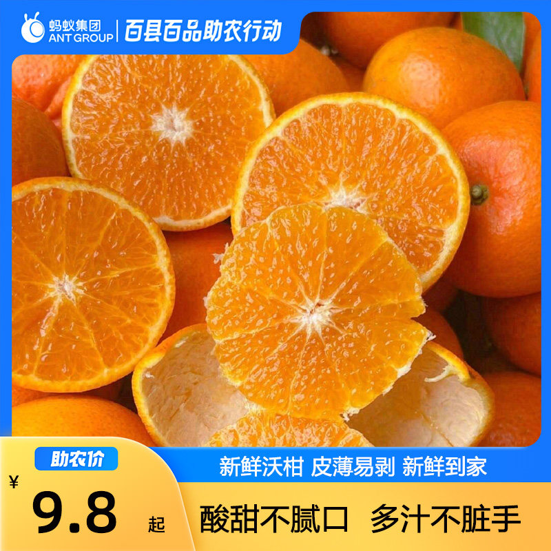 沃柑橘子新鲜水果当季一级沙糖蜜橘砂糖柑橘大果包邮,水产肉类/新鲜蔬果/熟食,桔子,淘宝优惠券,粉丝福利购,淘宝优惠卷