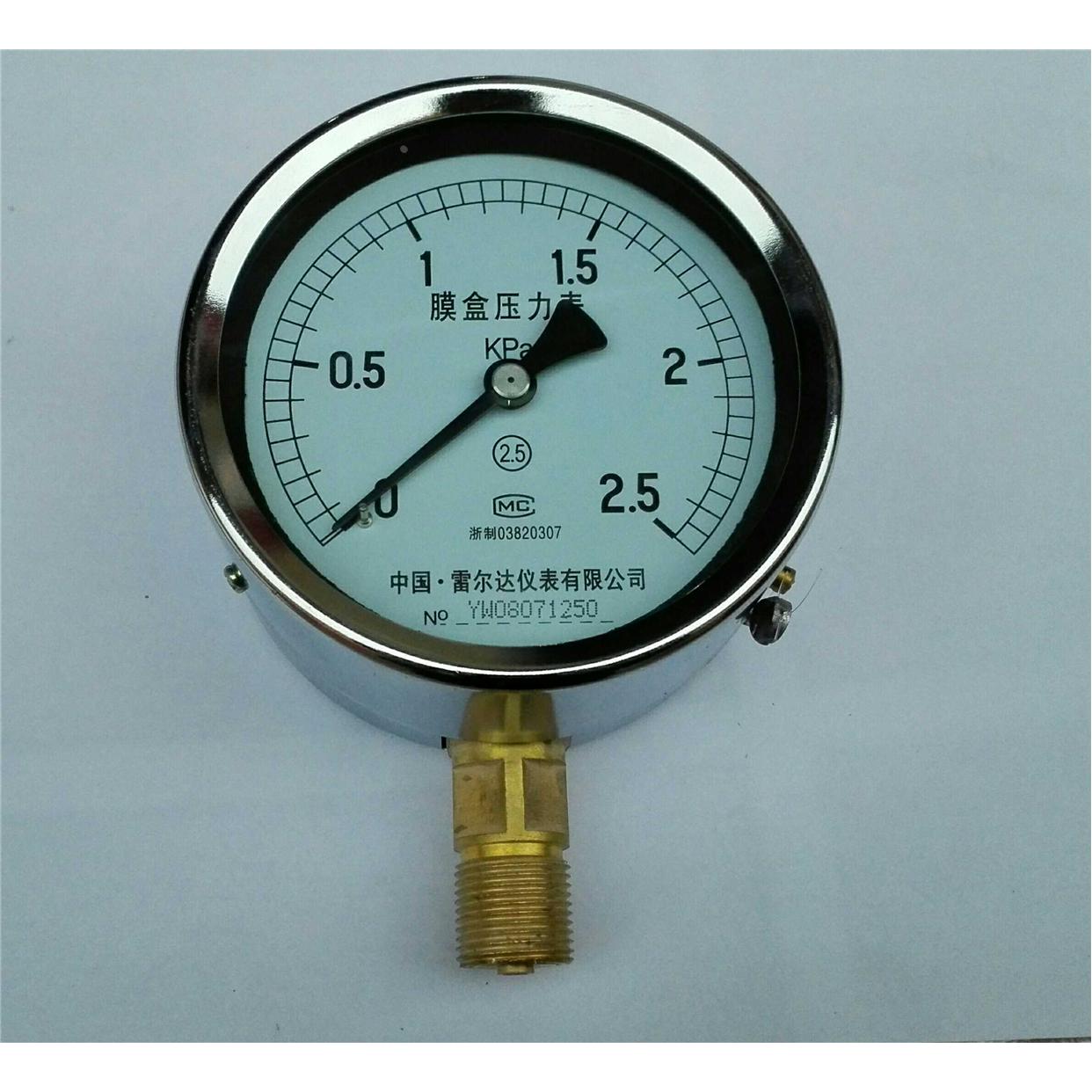 中国.雷尔达仪表有限公司膜盒压力表ye-100 0-2.5Kpa 螺纹m20x1.5
