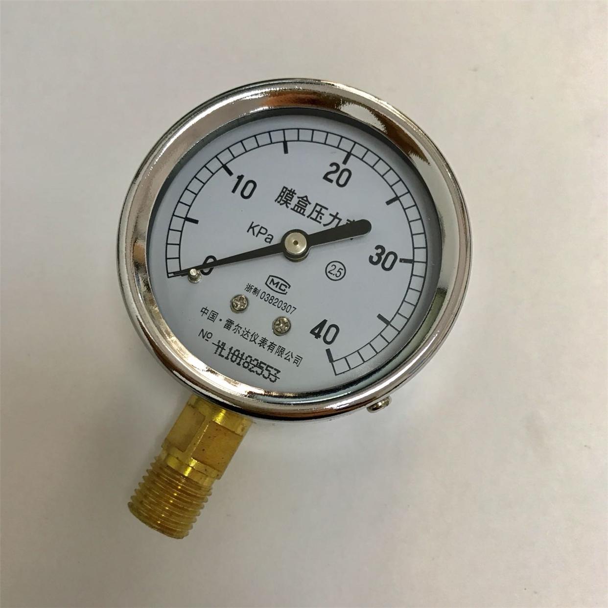 雷尔达膜盒压力表 YE-60 0-40kpa 直径60mm （实际外壳直径64mm)