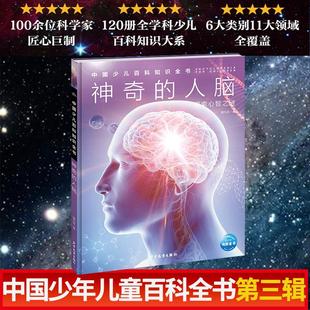 中国少儿百科知识全书第3辑:神奇的人脑 100位科学家匠心巨制少年儿童科普图书