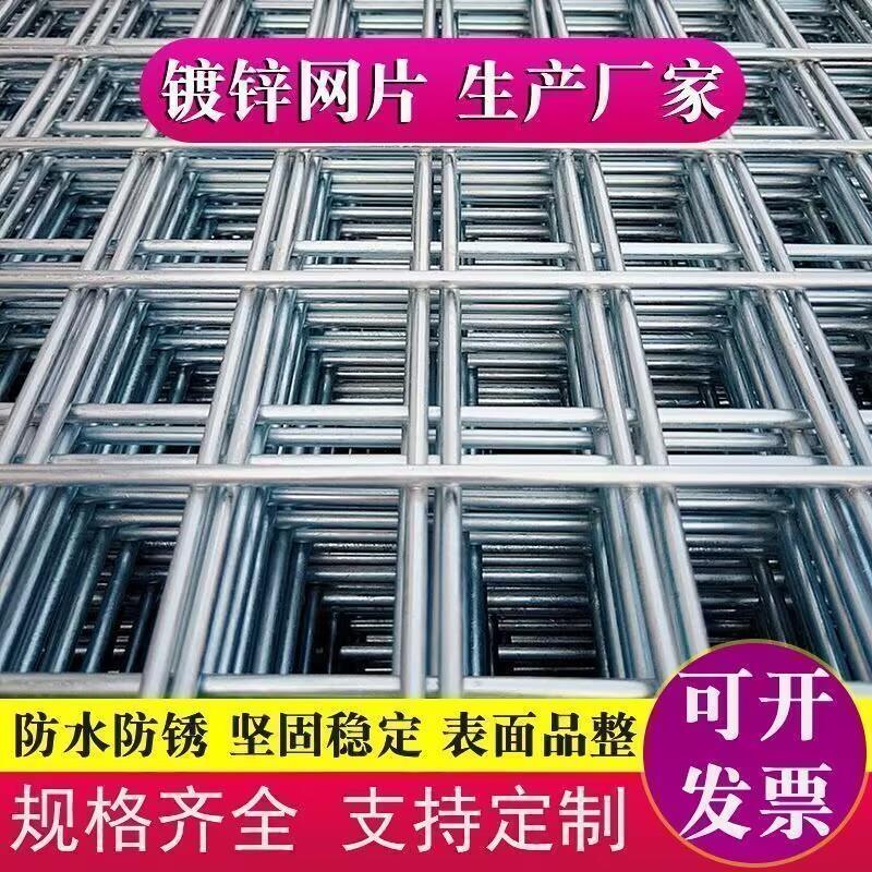 防锈镀锌网片钢丝网养殖铁网电焊加密网孔铁丝网片隔离网鸡鸽兔笼