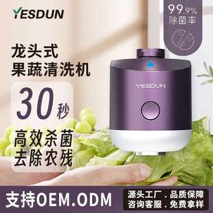 果蔬清洗净化器家用蔬菜消毒清洗机去除农残降解激素食材净化 新款