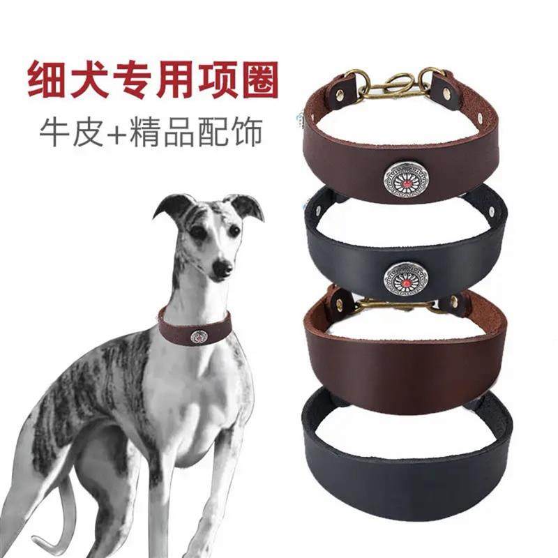 灵提犬格力犬脖套猎犬格惠犬惠比特一拉紧项圈猎犬P链细犬牵引绳
