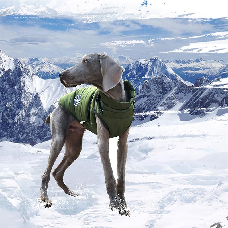 狗狗衣服中型小型犬背心式牵引绳狗绳泰迪狗链子遛狗绳宠物胸背带