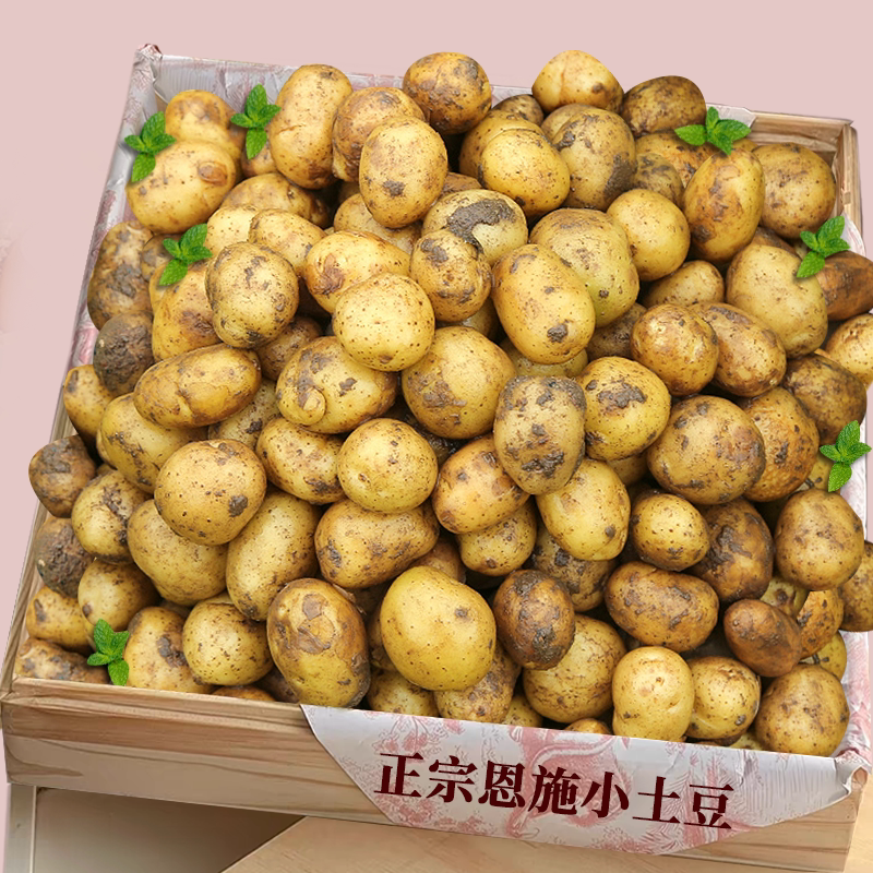 恩施小土豆!富硒黄心土豆!美味