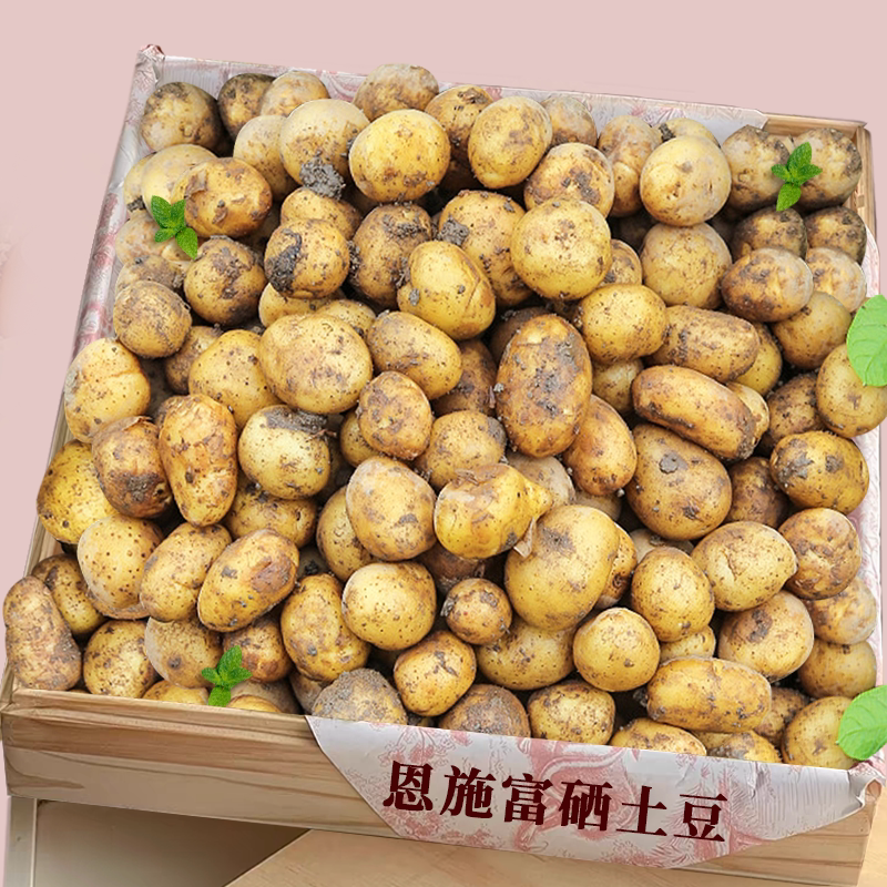 富硒恩施小土豆|农家现挖超新鲜
