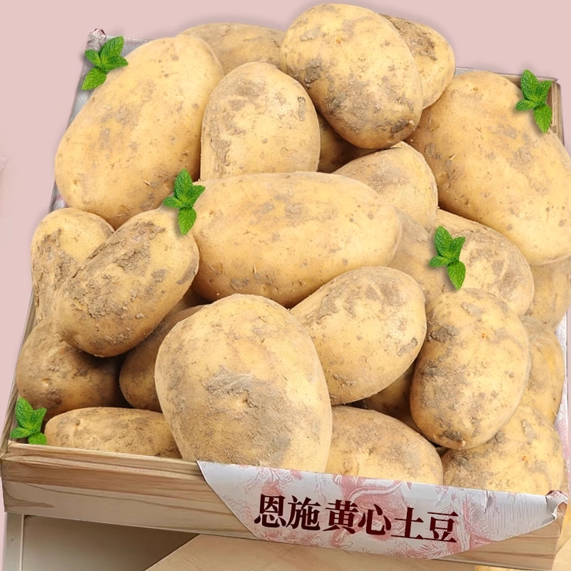 新鲜恩施大土豆！软糯精选力荐