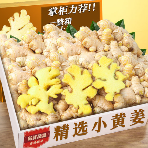 【云南小黄姜】农家推荐姜香浓郁