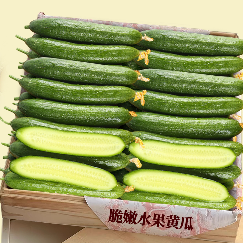 水果黄瓜!农家种植!天猫甄选