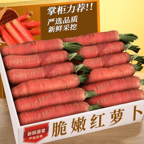 沙地红萝卜！老农精选！力荐美味