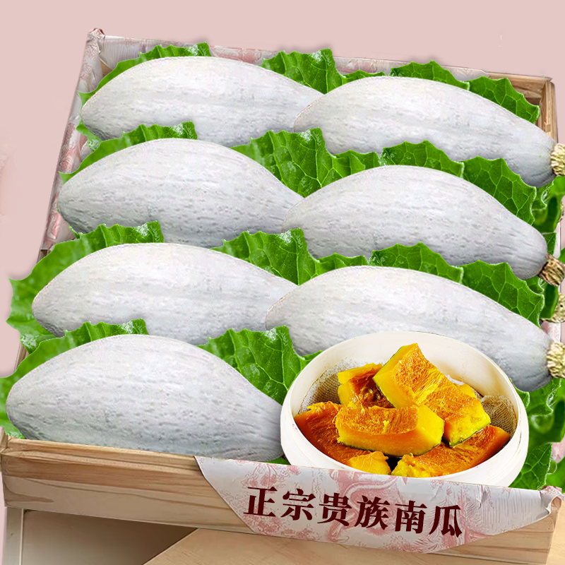 新疆贵族南瓜粉面细腻新鲜现摘