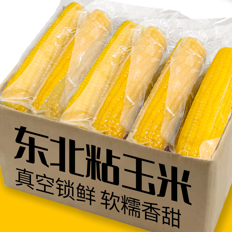 东北黄糯玉米丨真空锁鲜丨香甜糯