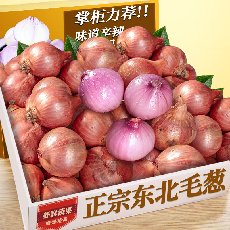 新鲜东北毛葱！产地直发！美味
