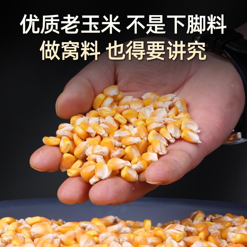 钓大物玉米tp2022-0料野钓重窝打窝钩鱼老玉米青鱼草鱼鲤鱼谷挂麦