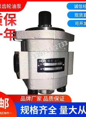 合肥长源液压齿轮油泵CBK-G436-AFΦ/L液压泵CBKa-G425-ATΦ油泵