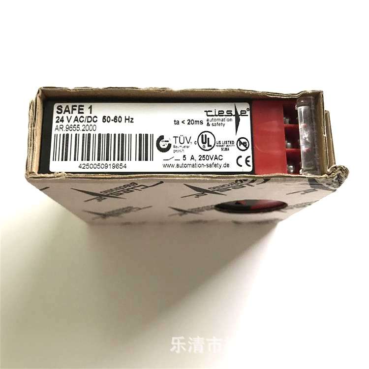 监控继电器SAFE 1 AR.9655.2000 24VAC/DC