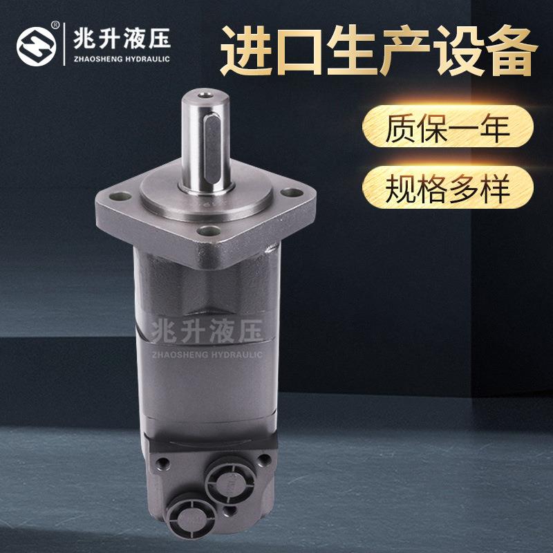 BM5(BMS/OMS）低速大扭矩摆线液压马达河北摆线液压马达