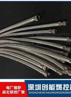 金属软管PN64DN25L=2000配XRZ-22-300大油枪316