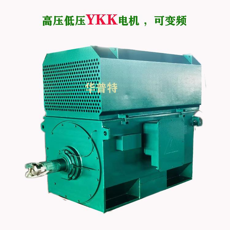 出口朝鲜欧美10kv山东华普特YKK高压电动机355kwIP55315kw