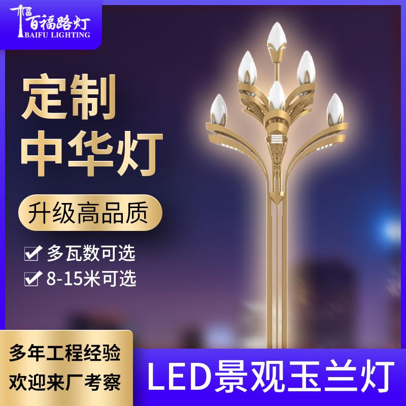 玉兰灯户外广场市政工程道路景观灯大型led八叉九火玉兰灯