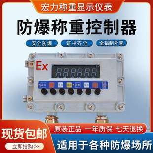 防爆称重仪表化工厂用防爆电子称防爆控制箱隔爆电子秤防爆仪表