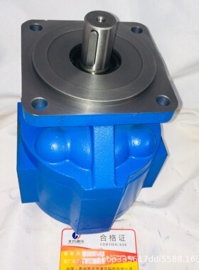 厂家供应  CBGP2100-B2R齿轮泵   多种规格