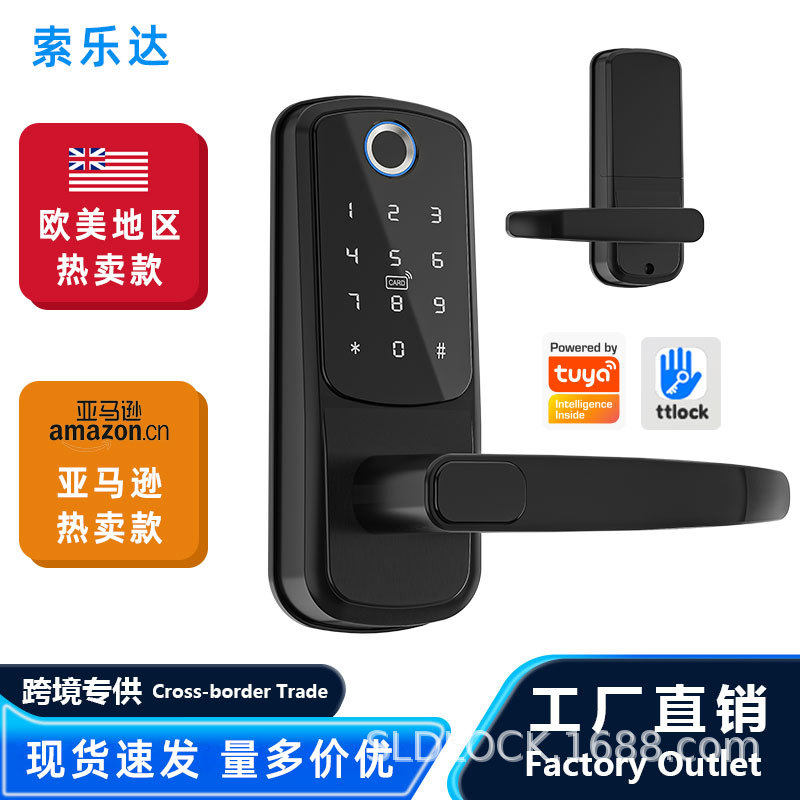 亚马逊指纹锁家用通通感应锁涂鸦电子锁APP智能门锁密码锁多语言