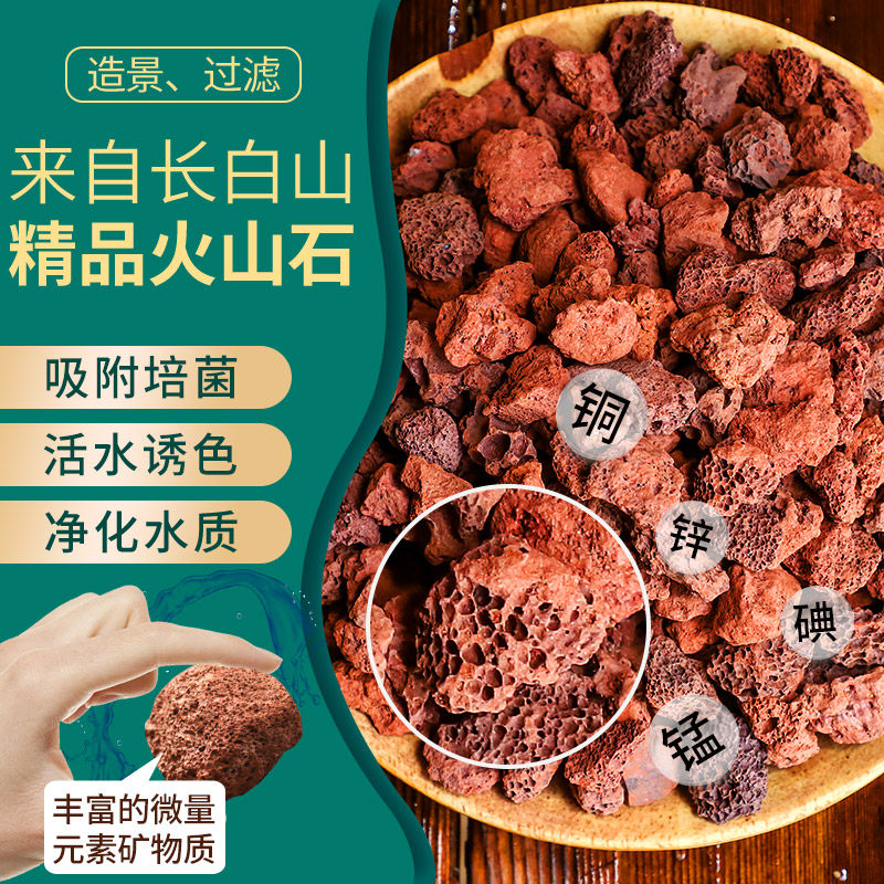 火山石颗粒养花石斛兰花专用多肉兰花盆铺面石透气乌龟鱼缸火山岩