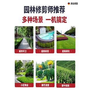 德国森林鸟便携式电动树篱修剪机背包锂电池修剪剪园艺茶树冬青修