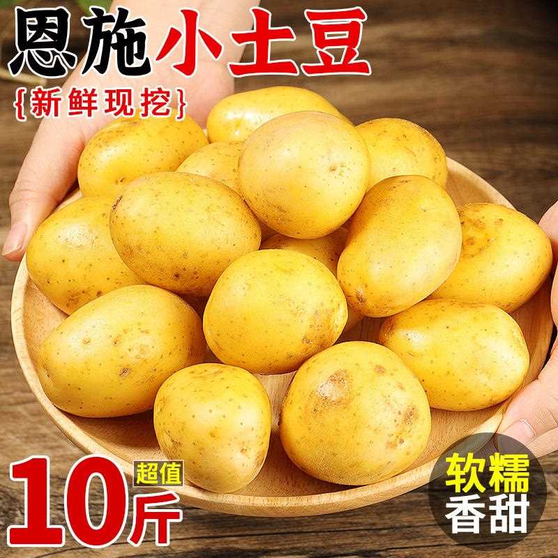 恩施小土豆10斤整箱包邮富硒新鲜洋芋迷你黄心士豆湖北马铃薯蔬菜