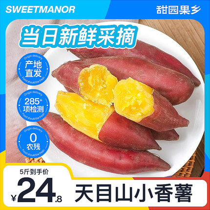 甜园果乡天目山小香薯糖心蜜薯番薯板栗红薯新鲜农家自种蕃薯地瓜