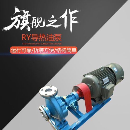 厂家供应 RY耐高温导热油泵 用于高温腐蚀RY风冷式