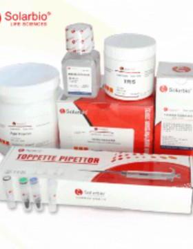 C1450XL10-Gold感受态细胞DNA的化学转化质粒检测质量稳定