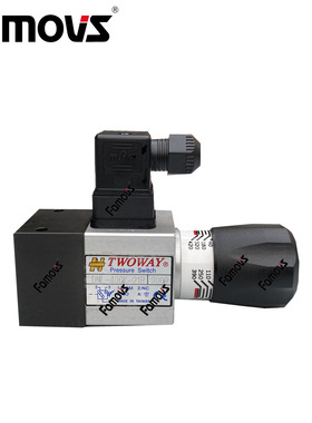 DNL-100K-06i台湾台肯TWOWAY油电压力开关 压力继电器 有触点