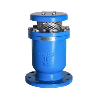 广州越海阀门复合式排气阀CARX-16DN50-DN200阀门球磨铸铁