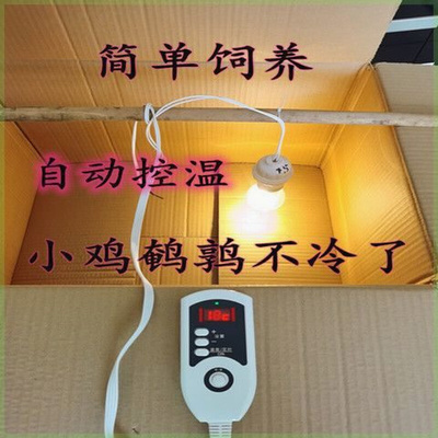 速发小鸡保温幼自动控制温度鹌鹑育雏箱雏鸟保温箱育雏箱苗保温箱