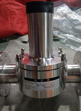 GHBYF-10P  DN150不锈钢304法兰背压阀用途