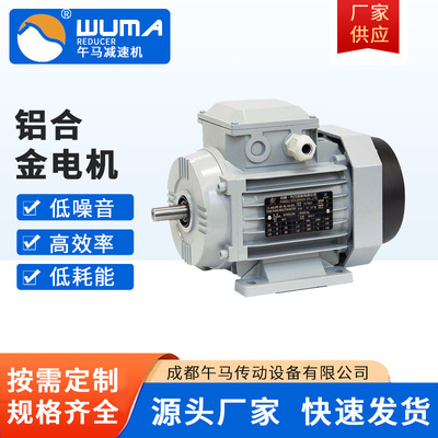 铝合金电机YE2-7124-0.37KW-B14 -IP55 厂家直销