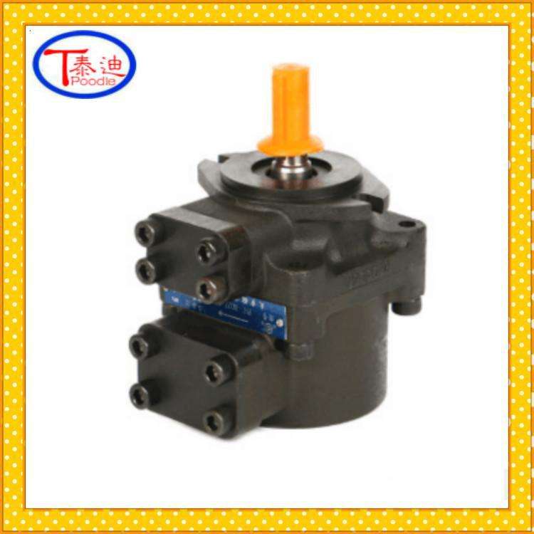 PFE-41056-1DT阿托斯柱销式叶片泵 ATOS 配压铸机注塑机机床