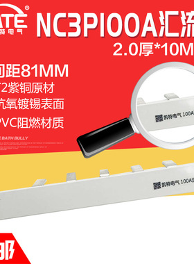 NC3P 100A汇流排81间距 紫铜2.0*10 DZ158空开断路器连接排KT024