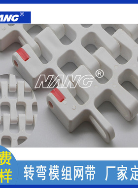 NANG食品级塑料网链食品输送机模组带果蔬模组输送带流水线传送带