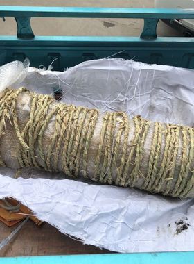 现货新龙工855N/ZL50C轮式50装载机铲车专用翻斗油缸件配套配件