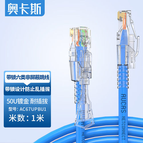 奥卡斯（AUCAS）六类防拔插带锁式成品跳线 CAT6无氧铜带涉密安全
