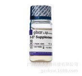 free Supplement 50X serum 10ml 货号：17504044