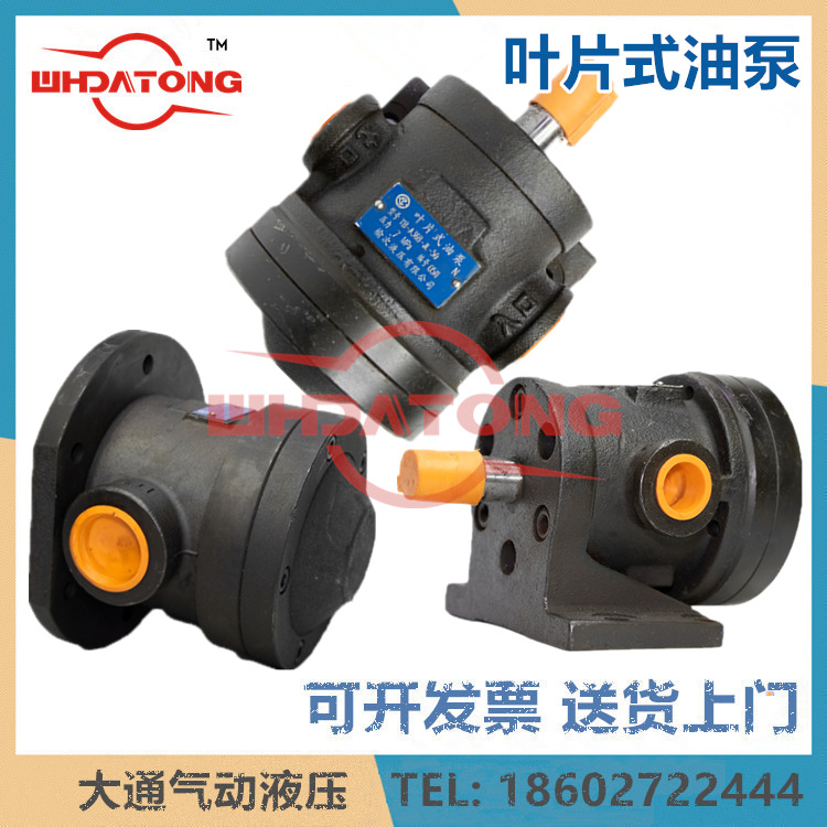 榆次液压中高压叶片泵YB-B48/60/74/113B-DU-FL-50 YB-B92B-DU-JL
