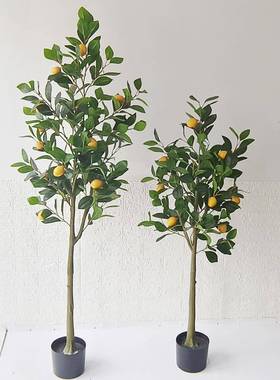仿真柠檬树盆栽仿真绿植橘子树客厅装饰落地摆件仿真植物