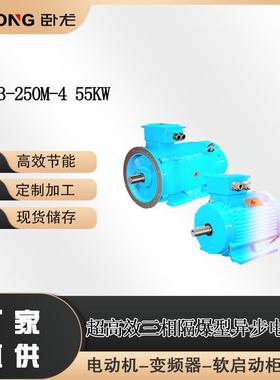 YFB3-250M-455KW煤安防爆电机立式防爆振动电机卧龙南阳防爆