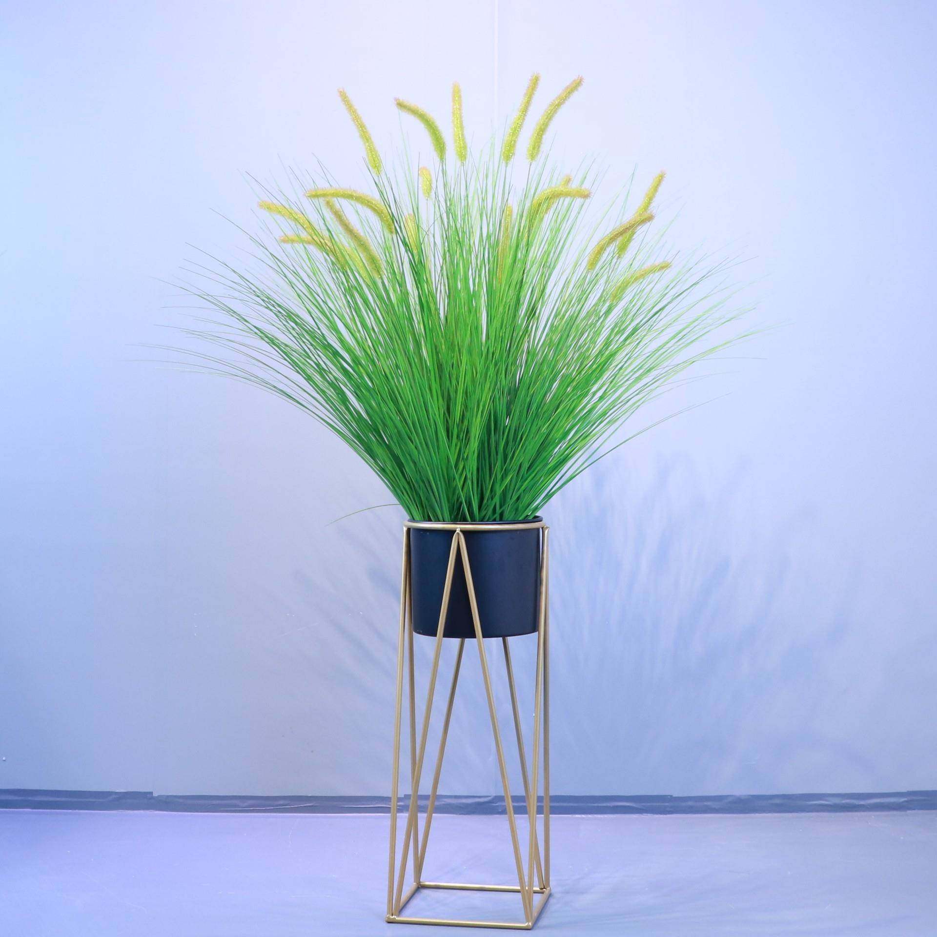 仿真狗尾草阻燃植物橱窗造景摆设盆景洋葱草把束,家装灯饰光源,其它灯具灯饰,淘宝优惠券,粉丝福利购,淘宝优惠卷