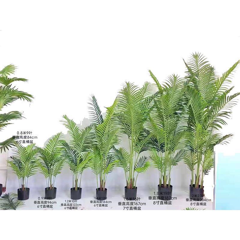 仿真散尾葵盆栽北欧风室内外装饰造景摆件源仿真夏威夷葵